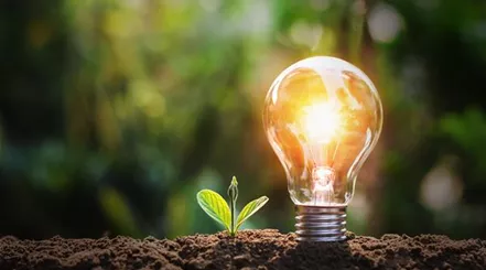 lightbulb-with-small-plant-on-soil-and-sunshine-concept-saving-energy-in-nature.jpg