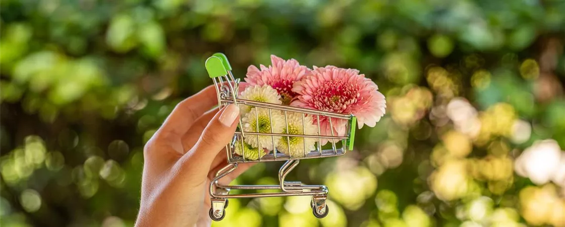 Einkaufssymbol - Einkaufswagen Blüten