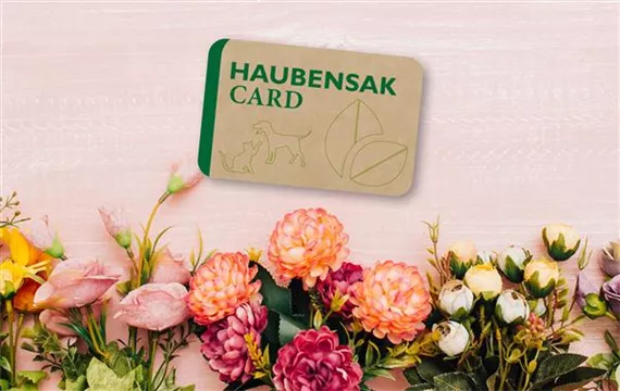 Haubensak Card Abbildung