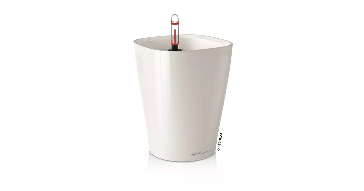 DELTINI online kaufen Haubensak