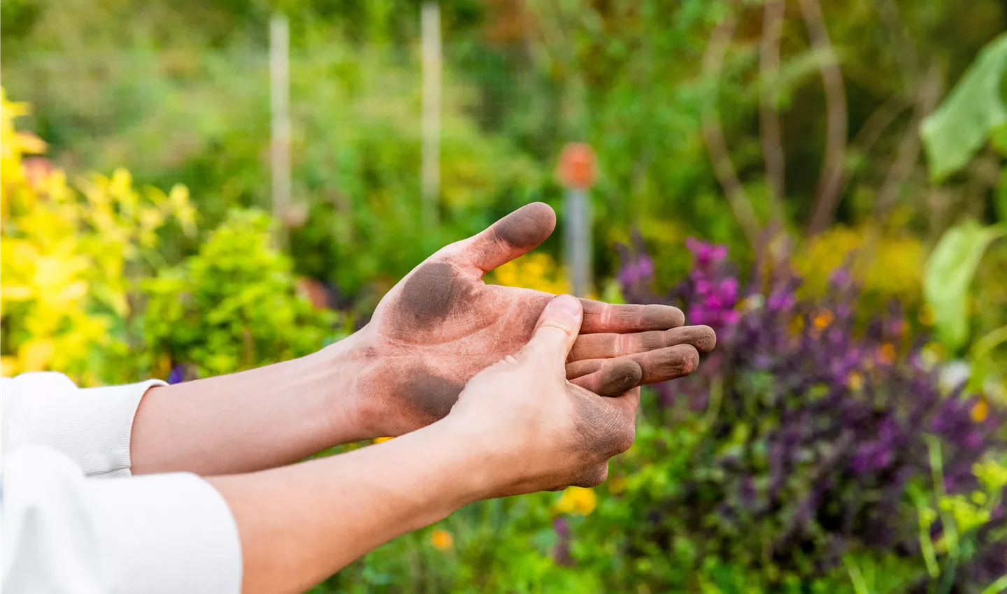 Gartenarbeit - Hände