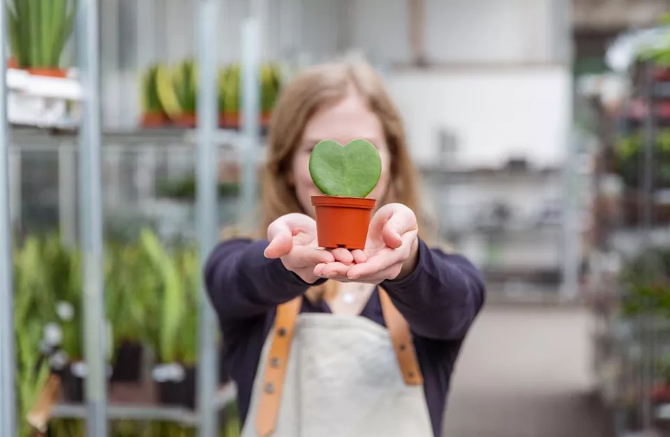 Einkauf im Pflanzengroßmarkt - Frau hält Pflanze
