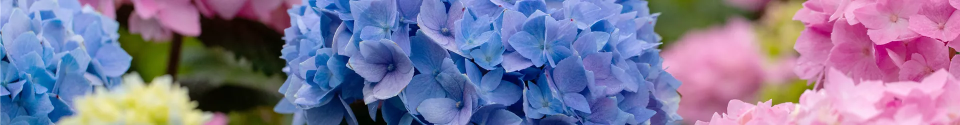 GS667195.jpg GS667195.jpg