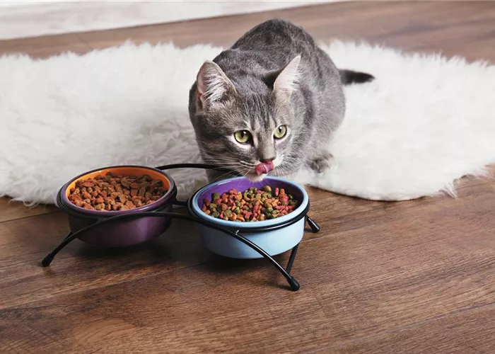 Qualität, die schmeckt! Qualität, die schmeckt!