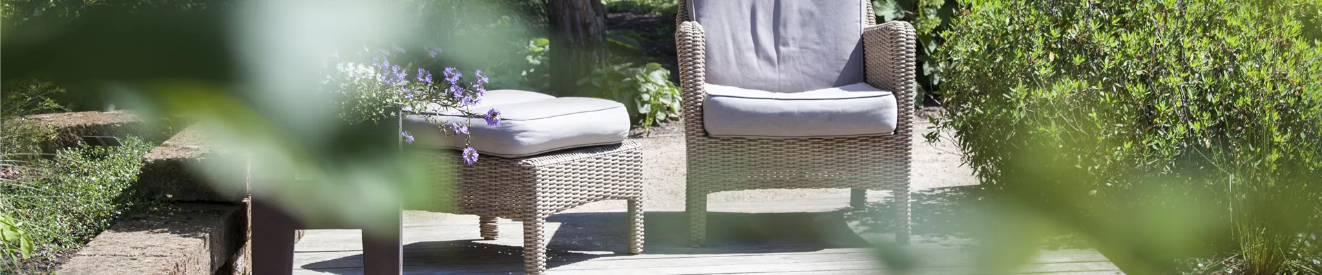 GS428346.jpg GS428346.jpg