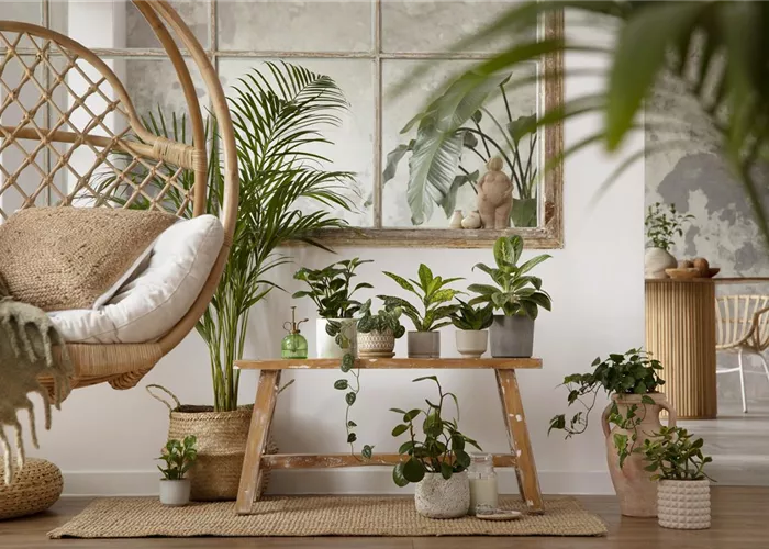 Pflanzgefäße Pflanzgefäße