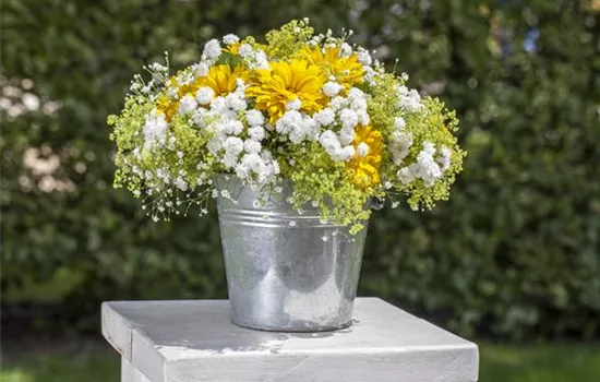 Schnittblumen aus dem eigenen Garten – den Garten ins Haus holen Schnittblumen aus dem eigenen Garten – den Garten ins Haus holen