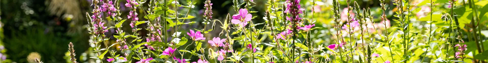 GS671917-0-550-6720-3780.jpg GS671917-0-550-6720-3780.jpg