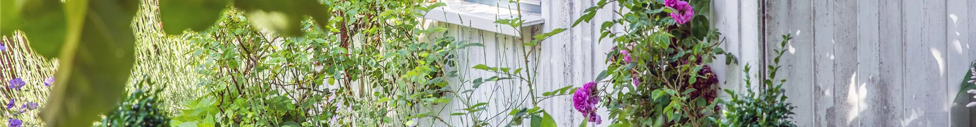 GS666979-0-2316-6214-1331.jpg GS666979-0-2316-6214-1331.jpg