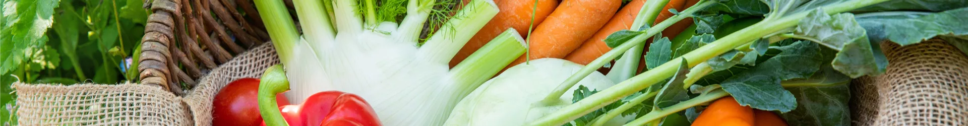 GS714105-0-318-6720-3780.jpg GS714105-0-318-6720-3780.jpg