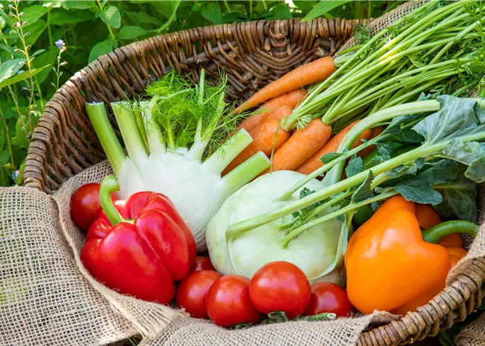 Selbstversorgergarten Selbstversorgergarten