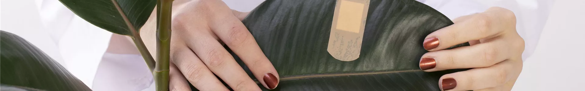 GS610302-0-0-6720-4480.jpg GS610302-0-0-6720-4480.jpg