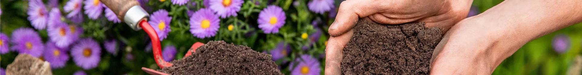 GS676148-0-0-6720-4480.jpg GS676148-0-0-6720-4480.jpg