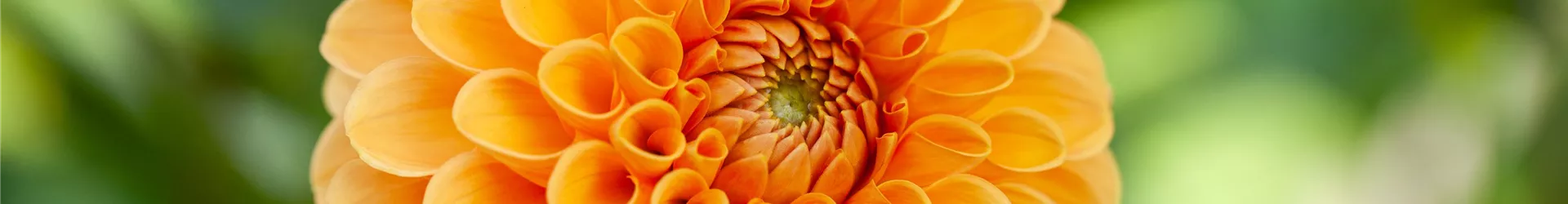 GS654401-0-0-5616-3744.jpg GS654401-0-0-5616-3744.jpg