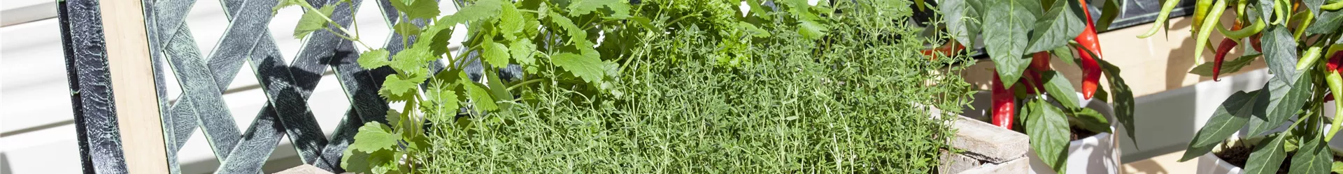 GS534650-0-871-5616-1203.jpg GS534650-0-871-5616-1203.jpg