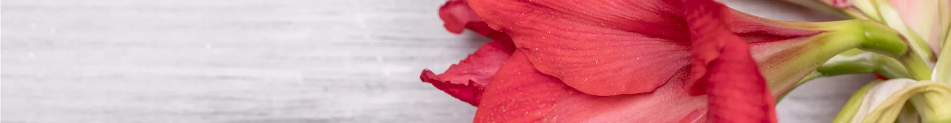 GS593232-0-0-6720-4480.jpg GS593232-0-0-6720-4480.jpg