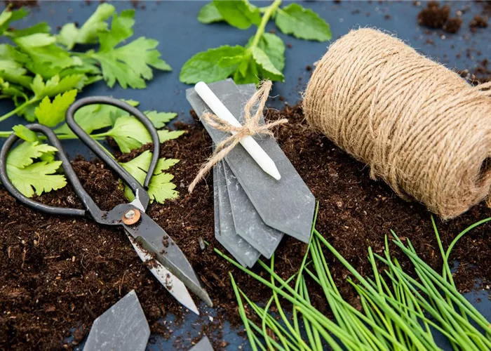 Gartenkalender Gartenkalender