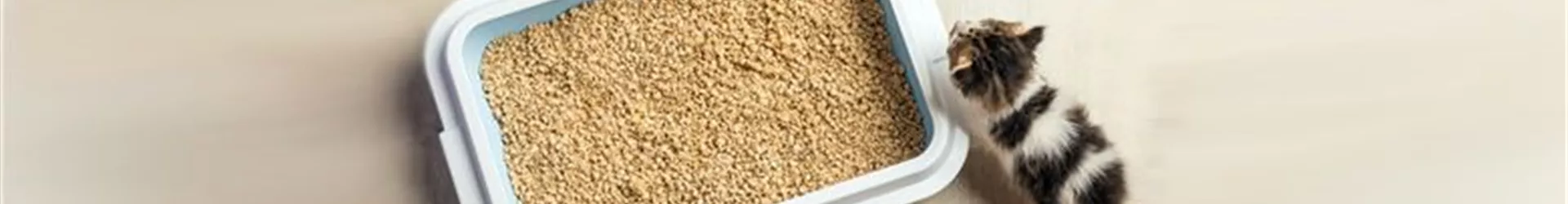 Das richtige Katzenklo-0-0-1900-780.jpg Das richtige Katzenklo-0-0-1900-780.jpg