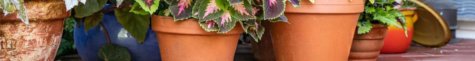 GS671905-0-2331-6720-1440.jpg GS671905-0-2331-6720-1440.jpg