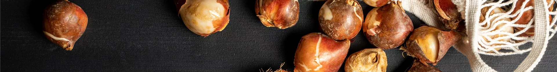 GS636751-0-0-6220-4147.jpg GS636751-0-0-6220-4147.jpg