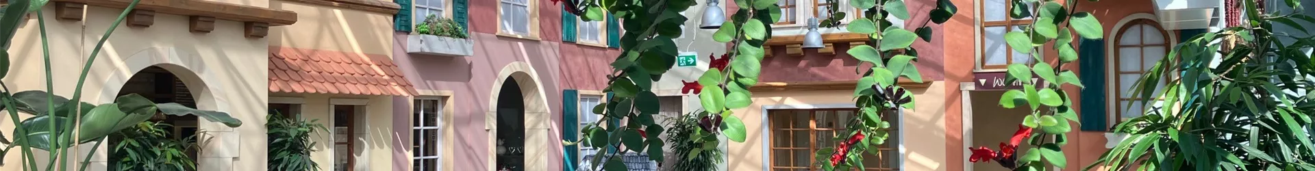 Ansicht_Gastraum_September_2024_00_Café.jpg Ansicht_Gastraum_September_2024_00_Café.jpg