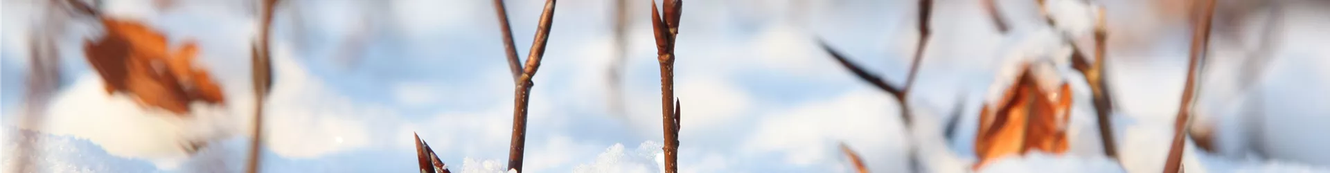 GS456464-0-0-5616-3744.jpg GS456464-0-0-5616-3744.jpg