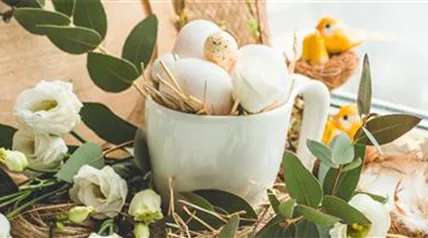 Haubensak Ostern NL HP LS250462indd2.jpg