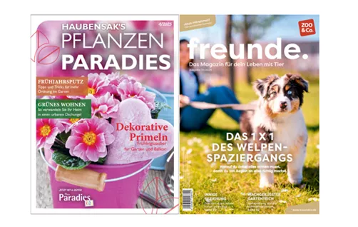 Magazine 14.03.25.png