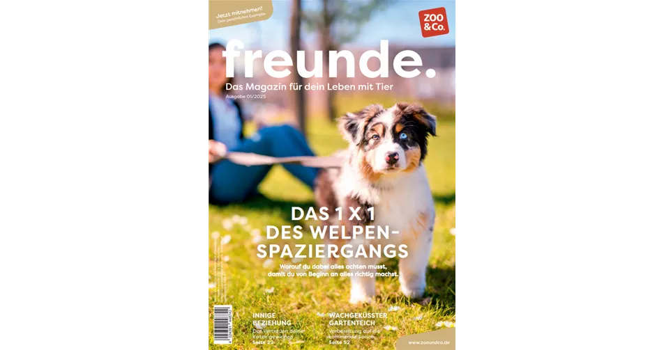 Freunde 01-25.png