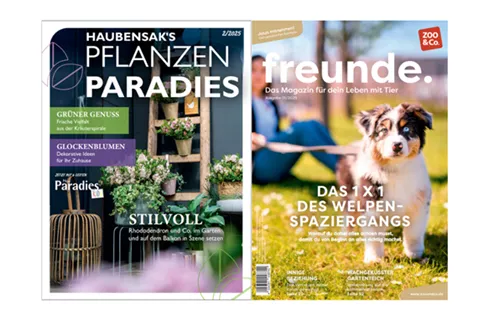Magazine 07.05.25.png