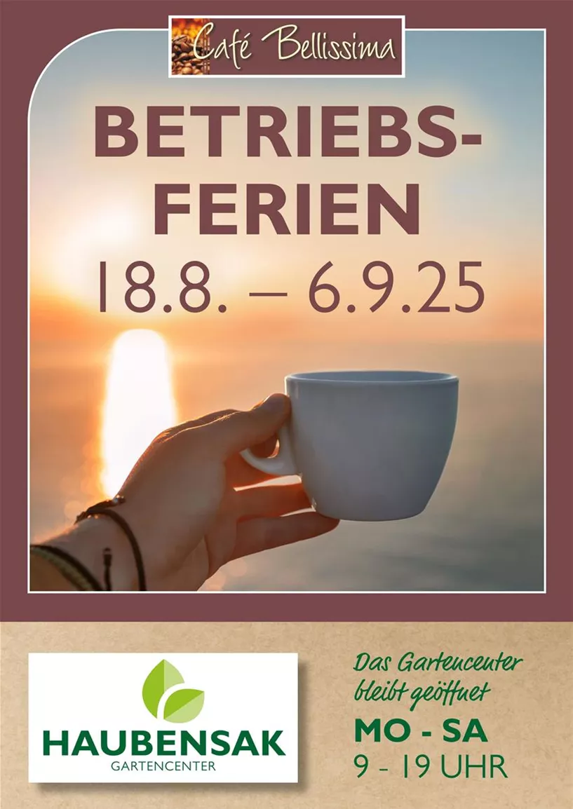 Haubensak Café_LS251166_Plakat BetriebsferienA1_2025.jpg