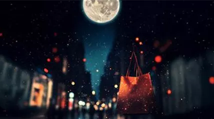 Haubensak Moonlightshopping AdaptionenHP LS2516563.jpg