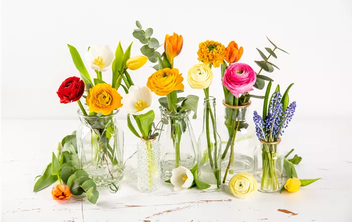 Frühling - verschiedene Blumen in Vasen