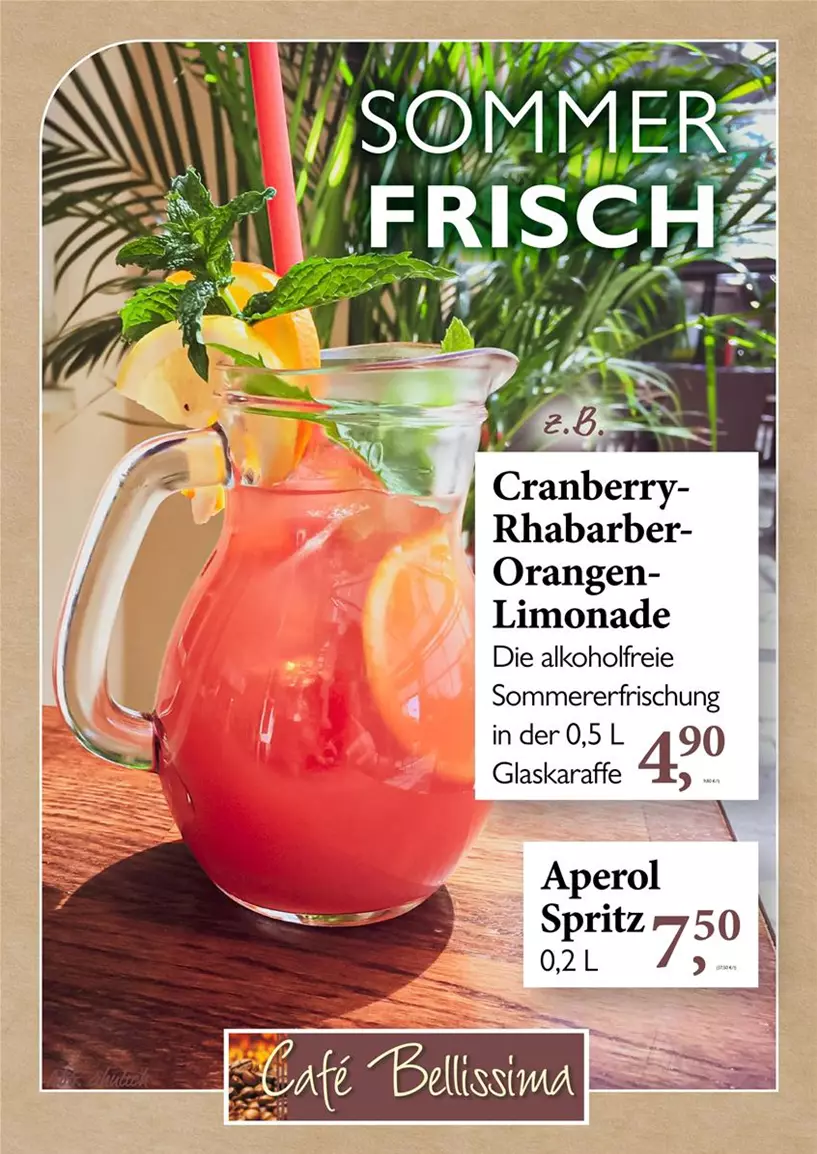 Haubensak_LS221040_Plakat_Sommer_Limo_Aporol_2026.jpg