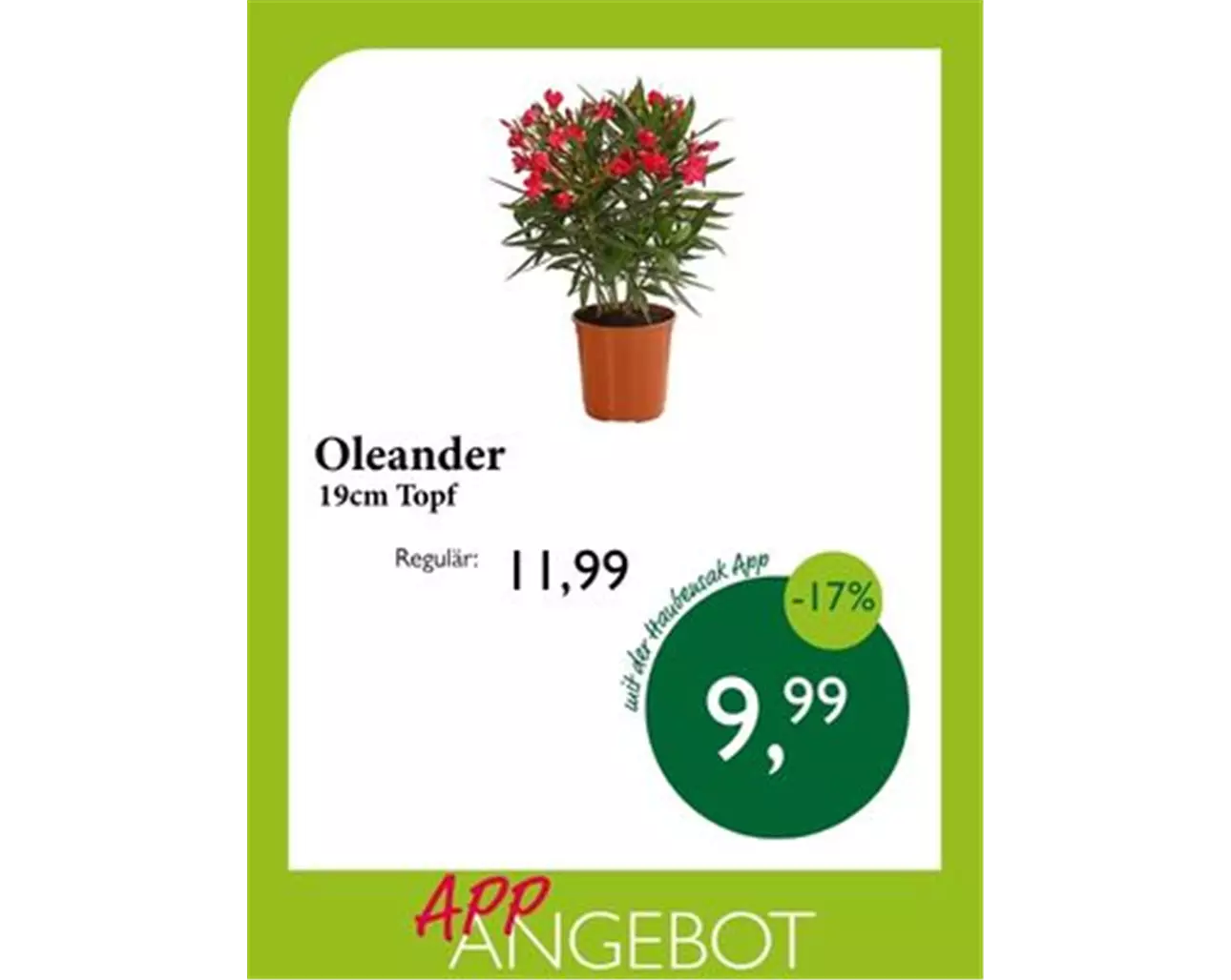 App_Oleander.jpg