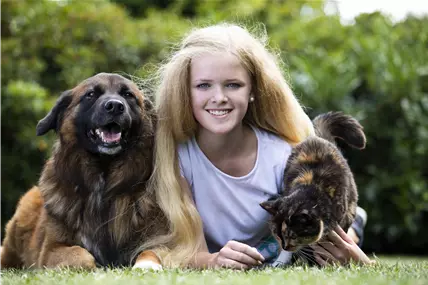 Hund, Kind und Katze Hund, Kind und Katze