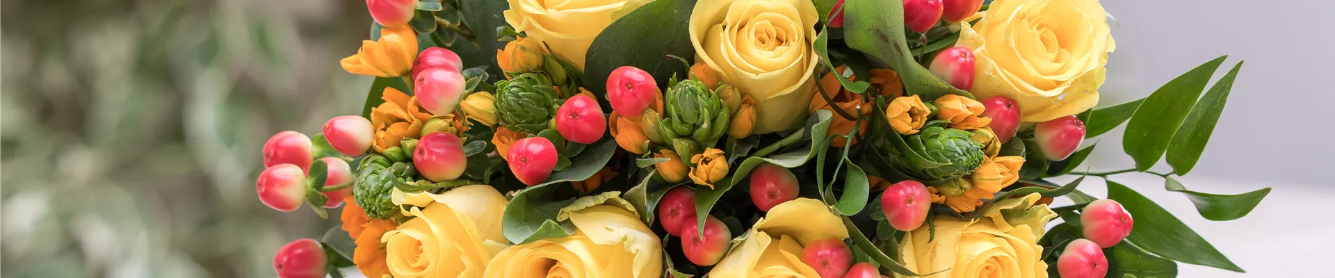 GS529262.jpg GS529262.jpg