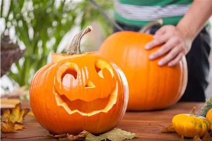 Halloween Kürbis vorbereiten Halloween Kürbis vorbereiten