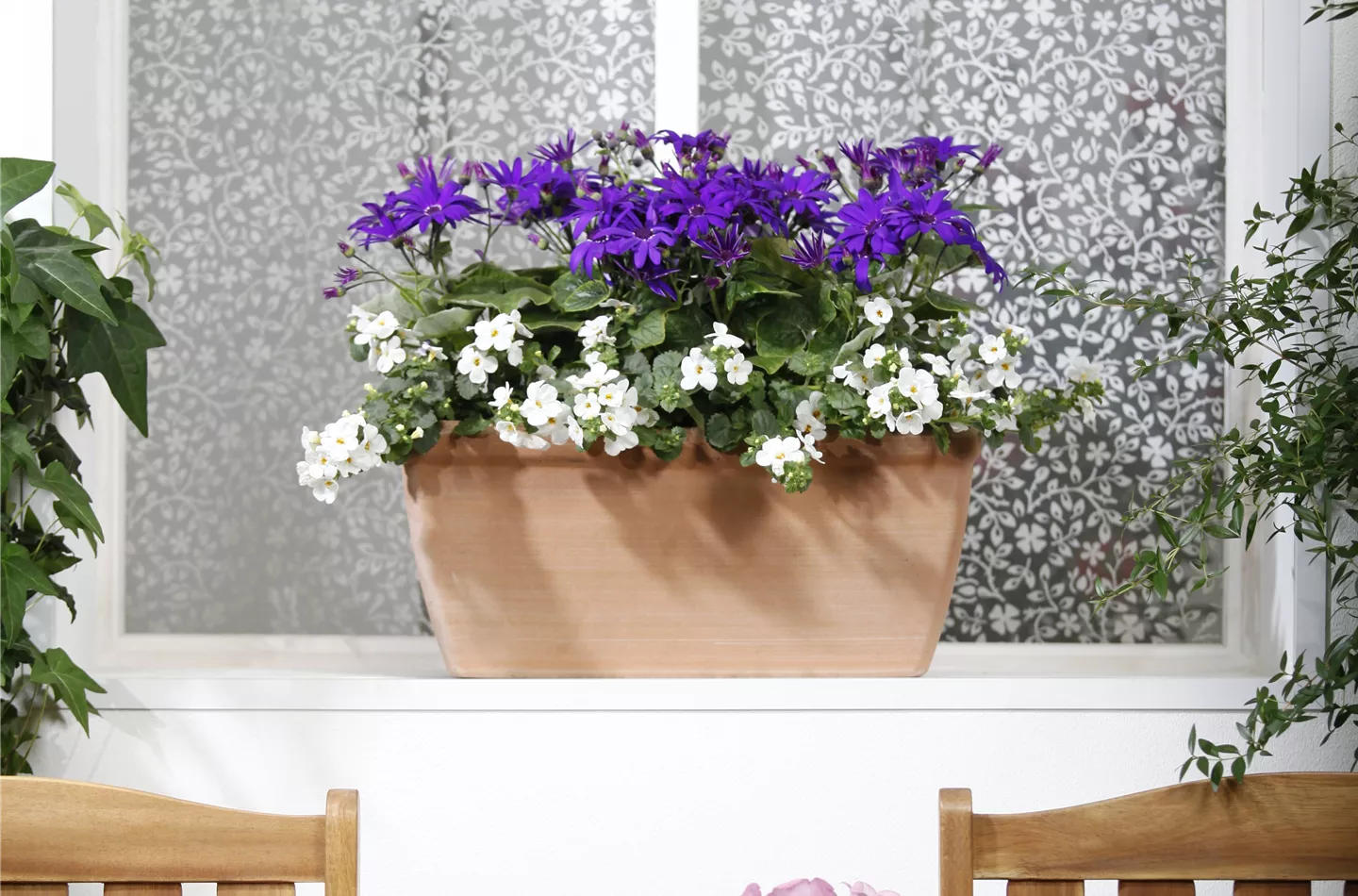 Der Winter wird grün: Winterharte Pflanzen für den Balkon