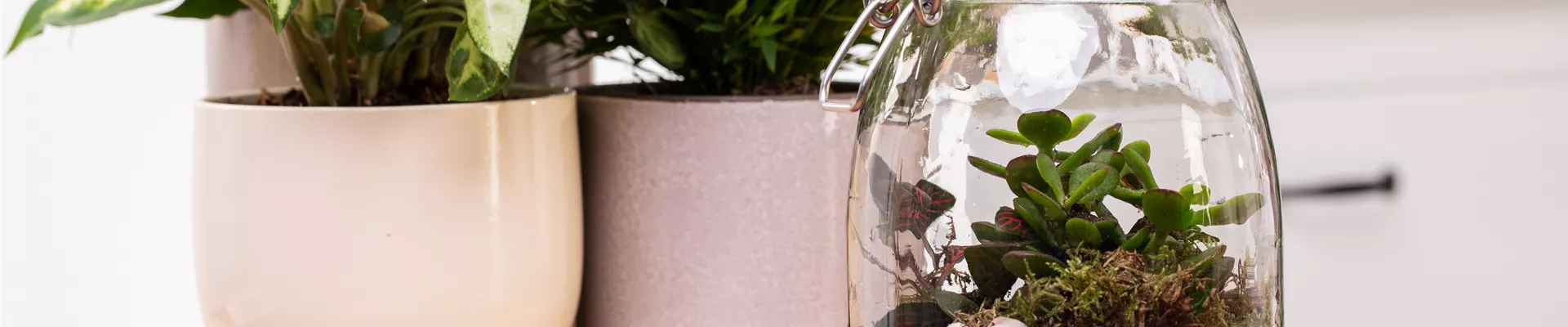 GS606054.jpg GS606054.jpg