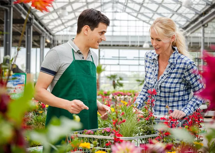 Service-Leistungen Service-Leistungen