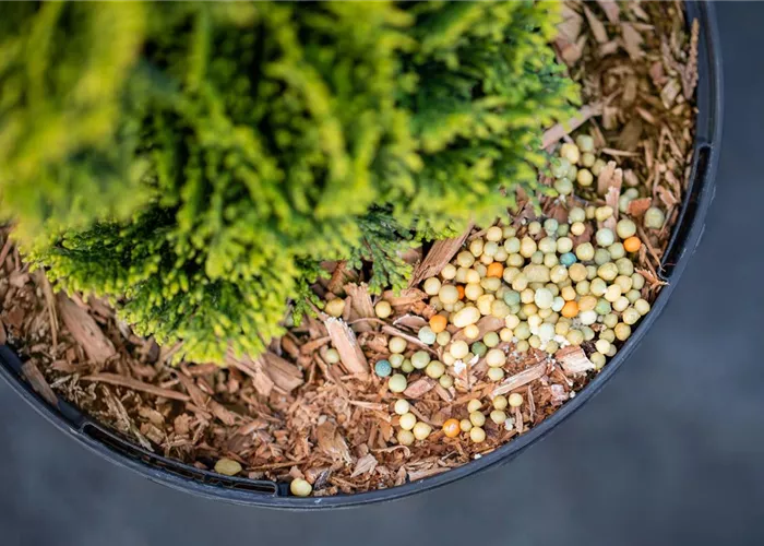 Dünger ist nicht gleich Dünger