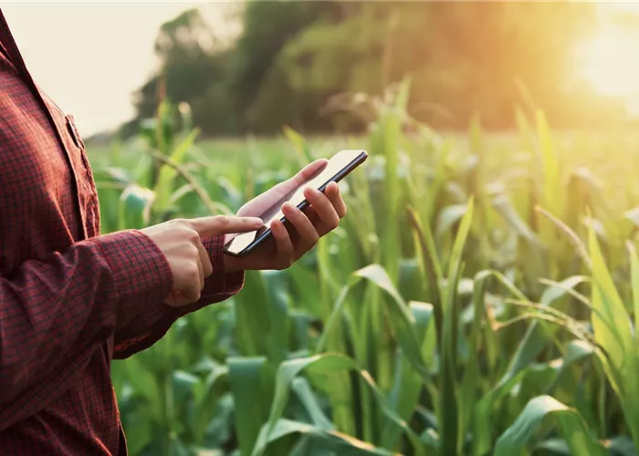 Newsletter Newsletter