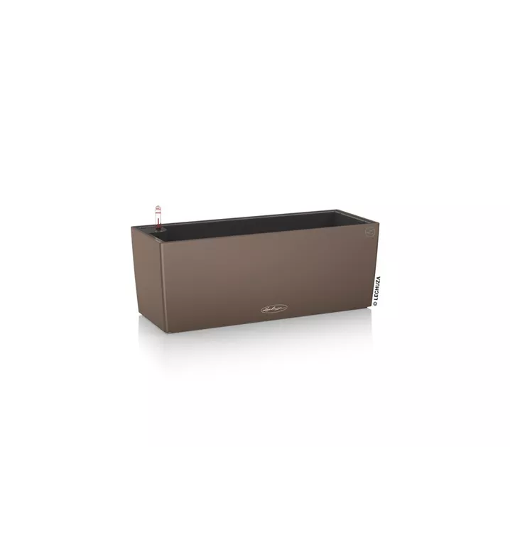 50 x 19 x 19 cm