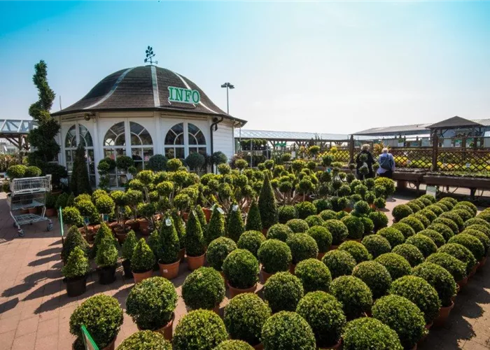 Baumschule & Stauden