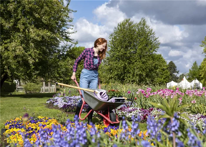 Gartenarbeit leicht gemacht - mit den richtigen Geräten