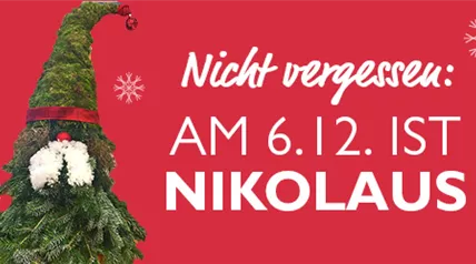 Haubensak Newsletter Nikolaus LS212182.jpg
