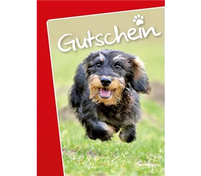 Versandgutschein für Tierbedarf