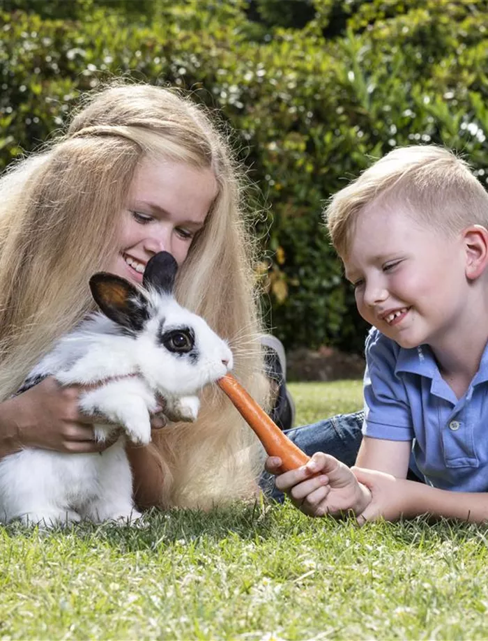 Kinder füttern Kaninchen