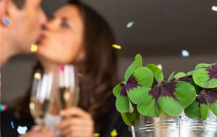 Silvester - Kuss hinter Glücksklee